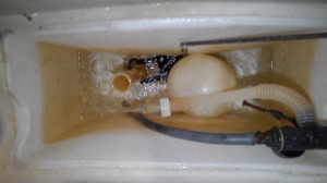KIMG0504